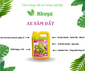 Phân bón lá NPK sinh học AE Amin Growth Sâm Đất Tím 5 lít Ra đọt - Xanh Cây - Dày lá