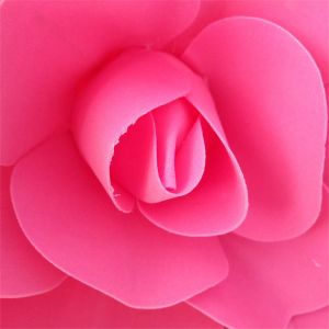 GOLDVAULT DIY Artificial Fake Flowers Wall Decor Wedding Flower PE Foam Flowers Large
