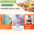 Macadamia Nuts With Shell Dry Roasted & Unsalted 100% Organic Australian Macadamia 200G. 