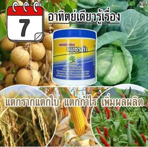 ขยายช่องว่างเม็ดดิน เพิ่มออกซิเจนในดิน ต้นพืชแข็งแรง ปุ๋ย ลมเบ่งผง1กระปุก ดูแลพืชผักสวนครัวให้สมบูรณ์ ชะรอการสลายตัวของปุ๋ยเคมี พืชกินปุ๋ยได้ 99%