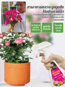 เอสเซ้นส์โภชนาการที่ออกฤทธิ์เร็ว เอสเซ้นส์บํารุงสวนที่มีประสิทธิภาพ เอสเซ้นส์โภชนาการที่ออกดอก