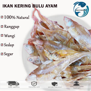 Grade AAA Bulu Ayam 1kg Ikan Masin / Ikan Kering Bulu Ayam / Ikan Bulu Ayam Kering/ Ikan Bilis Bulu Ayam