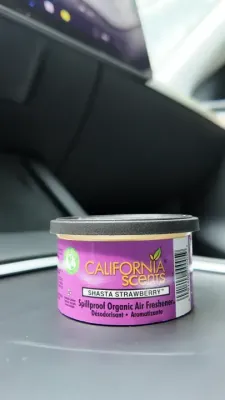 California Scents Organic Canister Air Freshener Car Fragrance Scent Spill Proof Can Air Purifier