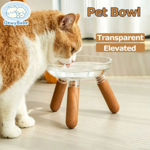 DewyBabe Elevated Cat Bowl with Stand Detachable Large Diameter Food Grade Transparent Feeder