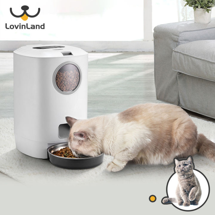 Cat 2024 feeding device