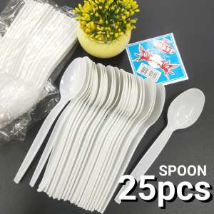 25PCS DISPOSABLE PAPER PLATE / DISPOSABLE PLASTIC SPOON AND FORK / PARTY SUPPLIES / TABLEWARE
