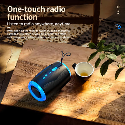 Wireless Bluetooth Speaker Bass Portable Subwoofer Karaoke Mini Car FM Radio Music Player Charge Spe