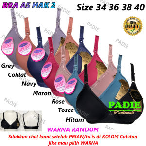 PADIe - BH / Bra Wanita Cewek Remaja/ABG/Dewasa FEMA A5 Cup A Busa Sedang Tanpa Kawat Kaitan 2 Size 34 - 40