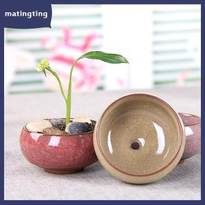 matingting Chậu trồng cây mọng nước Gốm Sứ Hoa tráng men dễ thương Chậu cây mini trang trí nhà cửa