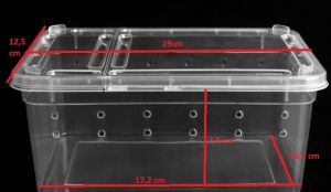 Hộp nuôi Bò sát có nắp. Bể nuôi Nhện Bò cạp Rùa cạn Chuột Ếch Rắn Lưỡng cư Côn trùng LG...