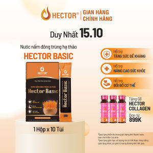 Nước nấm Đông trùng hạ thảo Hector Basic (10 gói x 25ml) bồi bổ cơ thể