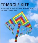 Big Size Colorful Rainbow Kite Long Tail Nylon Outdoor Kites Flying Toys For Children Kids Stunt Kite Surf/layang-layang