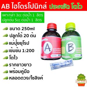 สารละลาย AB ชนิดน้ำ เข้มข้น 1:200 ขนาด 250 cc ปุ๋ย