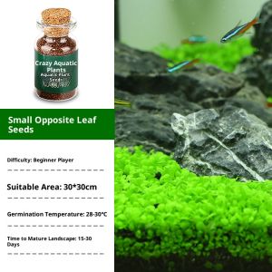 Water grass seed fish tank aquarium landscaping mini ecosystem plant hydroponic big leaf cow hair seeds