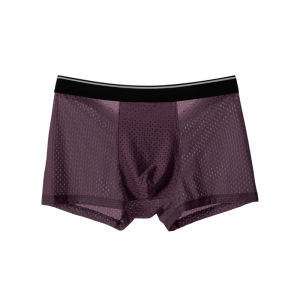Ice Full Mesh Large Mens Underwear Mens Pure Cotton Crotch Mid Waist Boxer Pants Breathable Ice Boxer Shorts