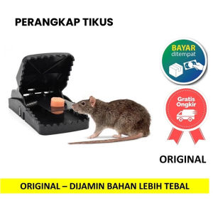 Mouse Trap Perangkap Jebakan Tikus Jepit Besar Jumbo Ampuh Kuat Tahan Lama