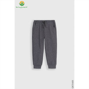 Quần  dài bé trai màu in hình chất cotton dệt kim thời trang Việt Thắng - Q67.2405