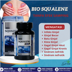 Obat Atasi Infeks Ginjal Ginjal Bocor Batu Ginjal Kista Ginjal Gagal Ginjal Akut Gagal Ginjal Kronis Sindrom nefritik Sindrom nefrotik BPOM