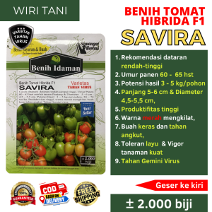 (COD) Benih Bibit Tomat Sayur Hibrida SAVIRA F1 Isi Lebih Banyak ±2.000 Biji Benih Idaman | Varietas Tahan Virus dan Layu Produktifitas Tinggi Tomat Dataran Rendah Tinggi Berbuah Lebat Merah Mengkilat Daging Keras Tahan simpan dan Kirim
