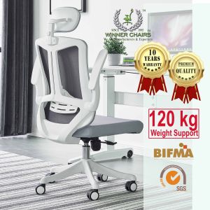 Ergonomic Office Chair WN669A-WHT (10 Years Warranty)