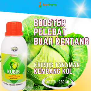 Pupuk Pembesar Buah Kubis / Pupuk Cair Buat Kubis / Pupuk Pembesar Buah Kol / Pupuk Pembesar Bunga Kol / Pupuk Khusus Kubis Kol / Pupuk Pelebat Buah