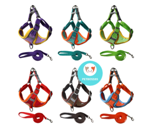 DÂY DẮT CHÓ MÈO KÈM YẾM THOẢI MÁI CHO CHÓ NHIỀU MÀU