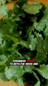Coriander Powder/ Colantro Powder (500g 1kg)