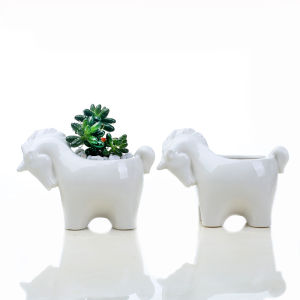 Chậu Trồng Cây Cảnh Mini Sen Đá Xương Rồng Hình Ngựa Lỗ Thoát Nước Không Cây