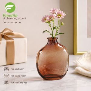 Irregular glass vase hydroponic green plant home decoration living room flower arrangement ornament