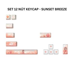 Set 12 Nút Keycap OEM - Keycap Bổ Sung PBT Chống Mài Mòn Trục Chéo Cho Bàn Phím Cơ