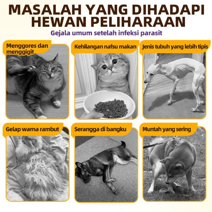 Cassiel%20Pet%20Obat%20Kutu%20Anjing/Kucing%20-%20Cair%20&%20Tablet%20Basmi%20Kutu,%20Cacing,%20infeksi%20Kulit%20BPOM%20-%20Image%203