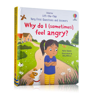 Usborne Lift The Flap Board Book Very First Questions and Answers - Why Do I (somethims) Feel Angry English Picture Book Children Book for Kids Toddler Feeling Emotion Management Enlightenment Reading Book