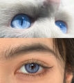 contact lens illustro BIG EYES BLACK COLORED LENSES 14.5mm lensa kontak warna softlens 1 paket lengkap softlens mata. 