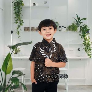 (BISA COD) TERLARIS BAJU BATIK ANAK LAKI LAKI LENGAN PANJANG DAN LENGAN PENDEK USIA 2-13 TAHUN
