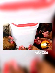 DIY ถังให้น้ำไก่อัตโนมัติ พร้อมใช้งานทันที รุ่นถ้วย C06