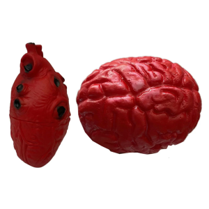 ชุดตกแต่งฮาโลวีน2ชิ้นโมเดลหัวใจและสมองที่สมจริงเครื่องประดับตกแต่งง่ายอุปกรณ์เสริมสำหรับปาร์ตี้ทำให้ตกใจ
