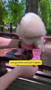 4Pcs Summer Dog Boots Shoes Anti Slip Ventilate Cat Suppile S/M/L/XL狗狗鞋子夏季防滑透气耐磨