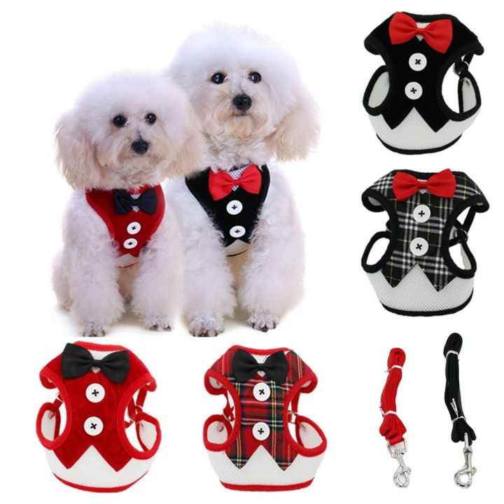 TCHIRR Bow Chihuahua Collar for Small Medium Dogs Belt Puppy