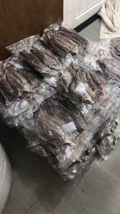 KHÔ SẶC ĐẦU LẠT VỊ 3 NẮNG CÓ SIZE 12c