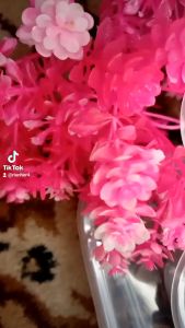 Simba choco chips + susu Dancow full cream sereal