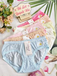 Combo 5 Quần lót nữ (8083) Size 40 - 50Kg Thun Lạnh In Hoa Cúc Mềm Mịn Thoáng Mát. Phom quần chuẩn ôm sát vòng 3 từ 40-50 kg mặc đẹp - Đồ Lót Quỳnh Anh