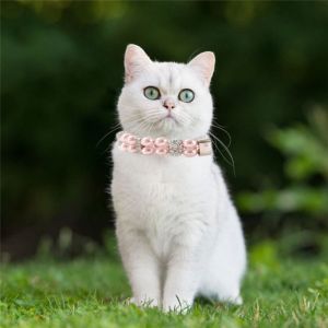 CUTE ELVES Artificial Pearls Wedding Party Birthday Pet Choker Cat Necklace for Dog and Cat Dog Collar