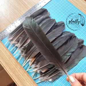DIY Arts & Crafts Feathers | Buntot Lapad | 25-40cm | Natural Black Color