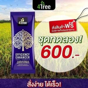 ของแท้ 4Tree โฟร์ทรี (1 ซอง) สารเพิ่มประสิทธิภาพพืช สูตรอิออน ใช้ได้กับพืชทุกชนิด เร่งราก โตเร็ว เขียวนาน 1 ซองใช้ได้15-20ไร่ โฟที 4t ปุ๋ย ปุ๋ยทางใบ