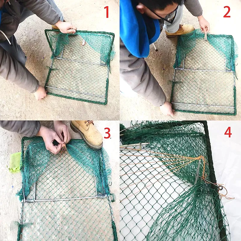 Pigeon Bird Trap Trapping Hunting Gamefowl Quail Cage Sparrow
