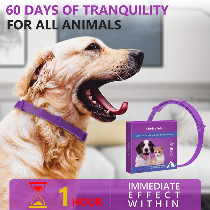 DY Loving Effective Safe Calming Collar For Cats Dogs Adjustable - Main Image