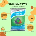 TRIDIUM 70WG 1KG FUNGISIDA SISTEMIK. 