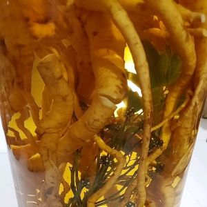 bình đinh lăng 258lit