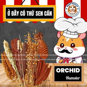 Kê Chùm Dưỡng Lông Cho Hamster
