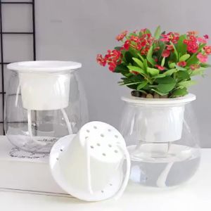 LZD Fully Transparent Lazy Flower Pot C Ball Type Wax Gourd Bottle Hydroponic Plant Green Dill and Bracketplant Potted Hydroponic Glass Flowerpot